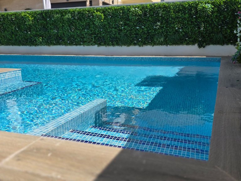 Villa for Sale in Los Montesinos, Alicante 10