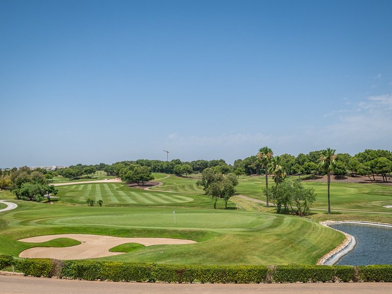Apartment for Sale in Pilar De La Horadada, Alicante 34
