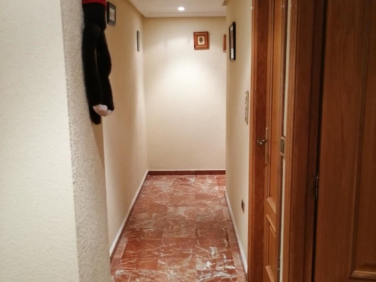 Apartment for Sale in Torrevieja, Alicante 20