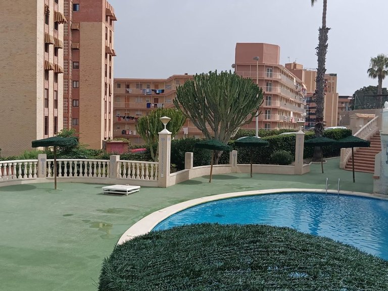 Apartment for Sale in Elche, Alicante 2