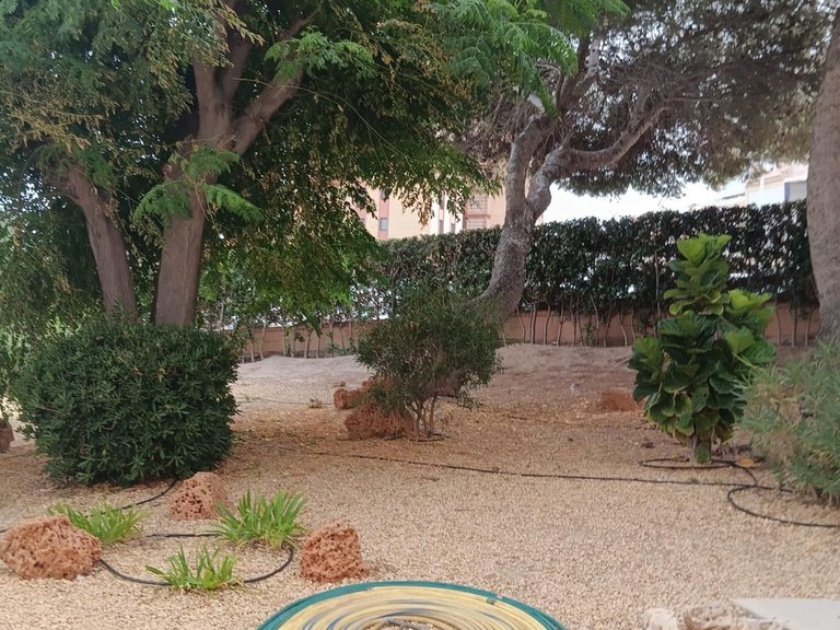 Apartment for Sale in Elche, Alicante 11