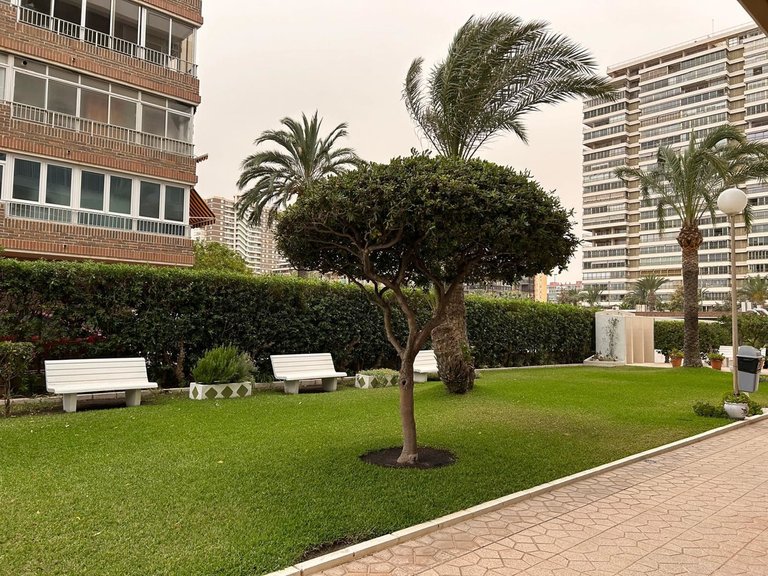 Apartment for Sale in San Juan, Alicante 2