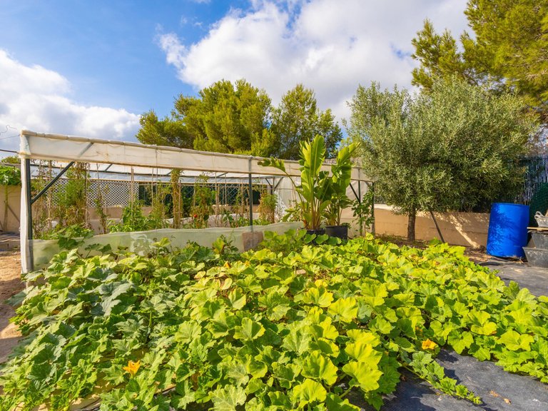 Villa for Sale in Villamartin, Alicante 42