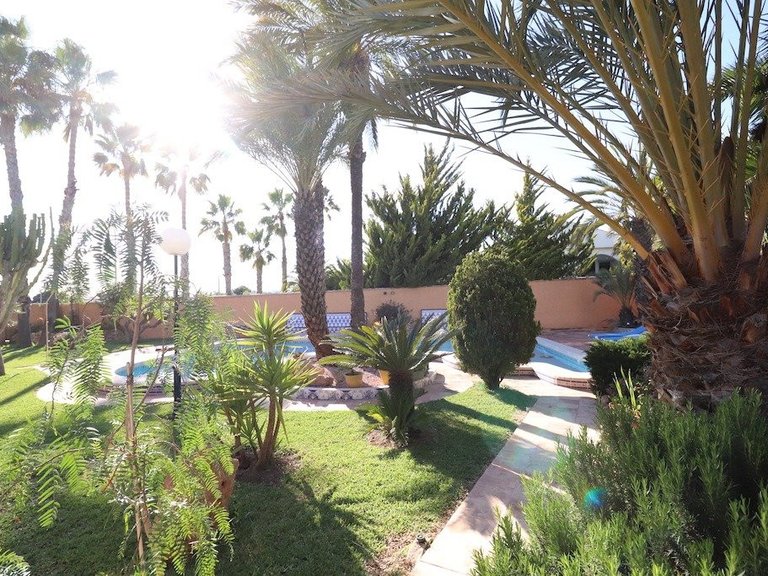 Villa for Sale in Torrevieja, Alicante 32