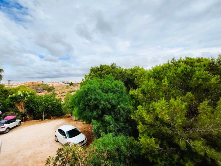 Apartment for Sale in Playa Flamenca, Alicante 24