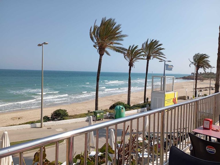 Apartment for Sale in Mil Palmeras, Alicante 41