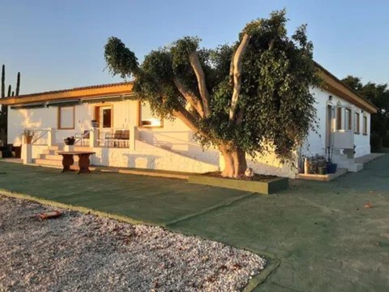 Villa for Sale in San Miguel De Salinas, Alicante 14