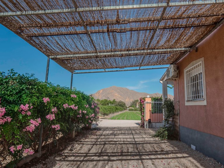 Villa for Sale in San Bartolome, Alicante 4