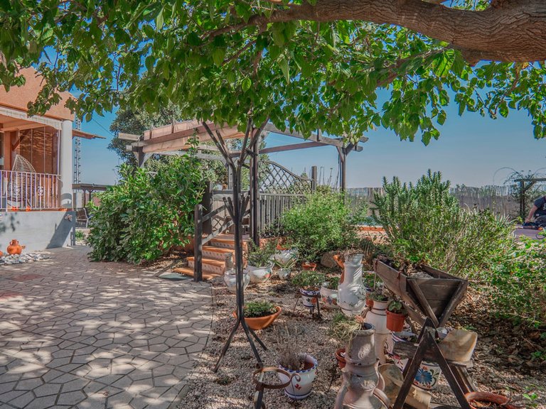 Villa for Sale in San Bartolome, Alicante 30