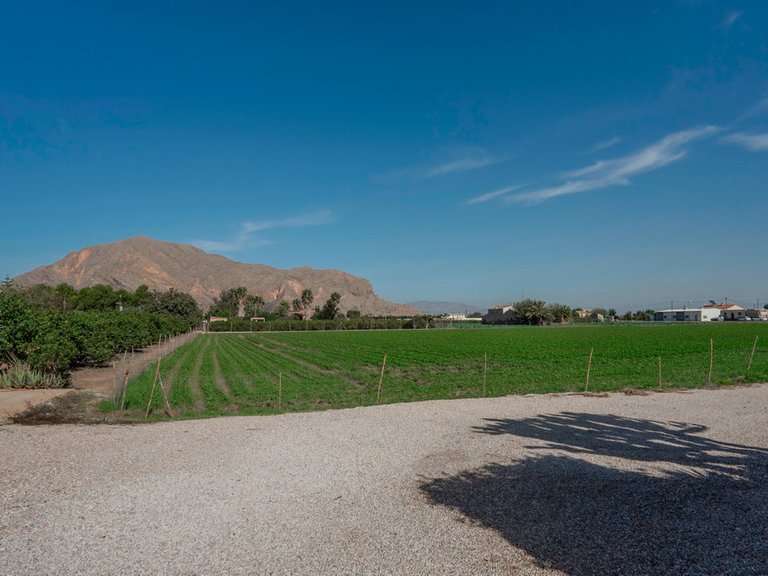 Villa for Sale in San Bartolome, Alicante 37