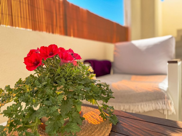Apartment for Sale in Los Altos, Alicante 18