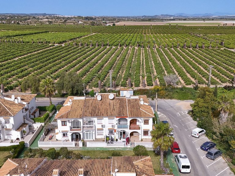 Apartment for Sale in Torrevieja, Alicante 15