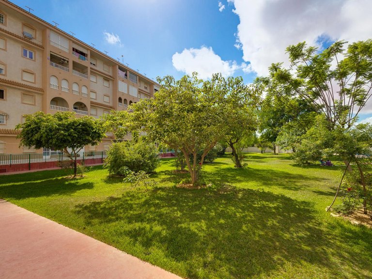 Apartment for Sale in Torrevieja, Alicante 35