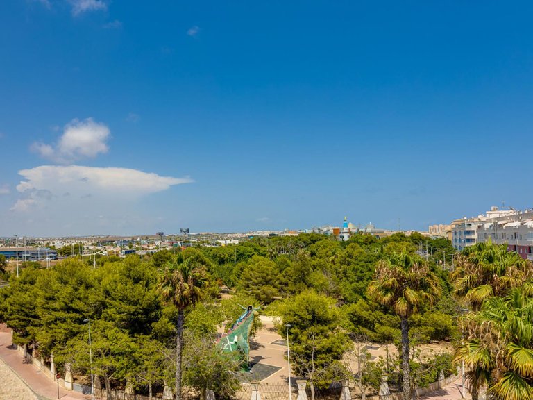 Apartment for Sale in Torrevieja, Alicante 40