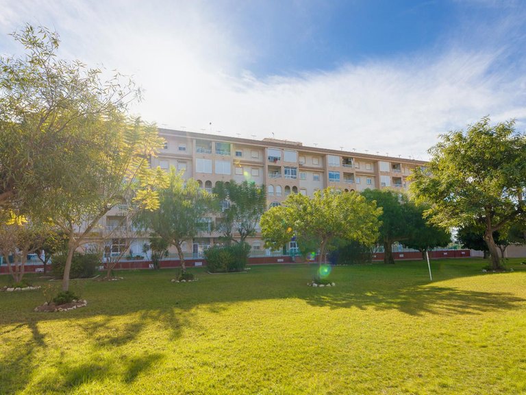 Apartment for Sale in Torrevieja, Alicante 49