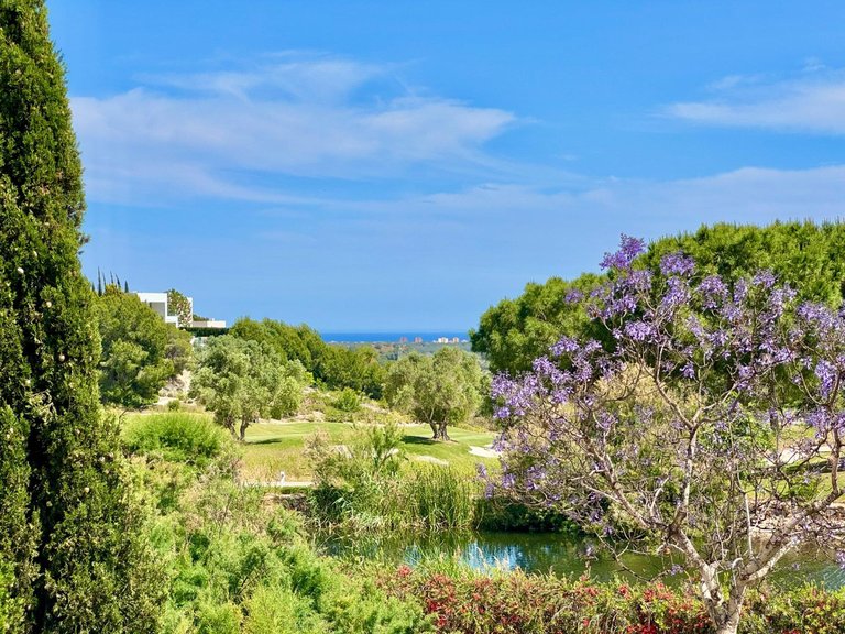 Villa for Sale in Las Colinas, Alicante 8