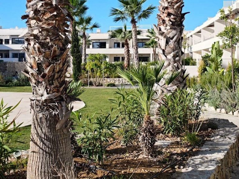 Apartment for Sale in Torrevieja, Alicante 9