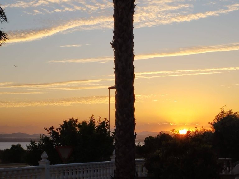 Villa for Sale in Torrevieja, Alicante 42