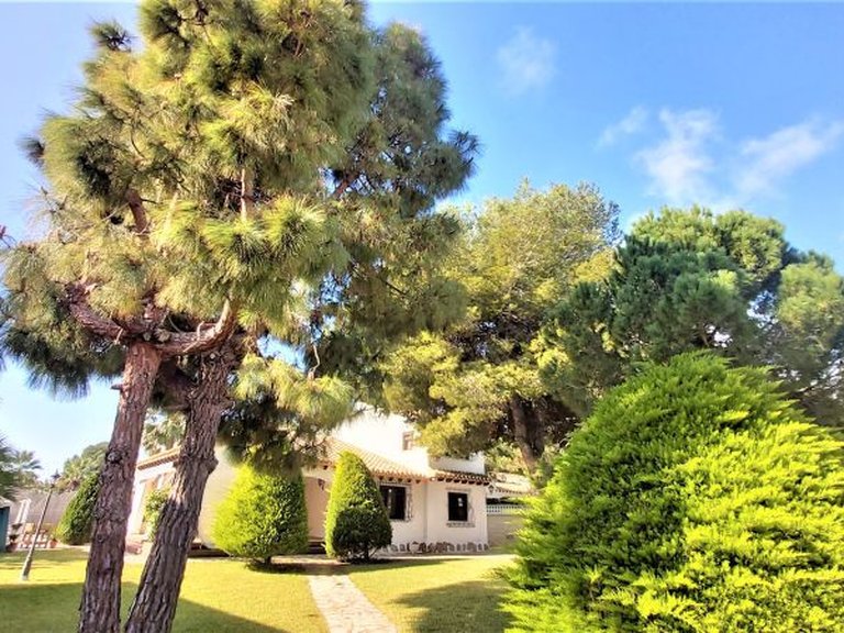 Villa for Sale in Torrevieja, Alicante 4