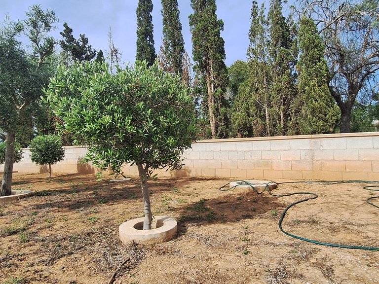 Villa for Sale in Elche, Alicante 3