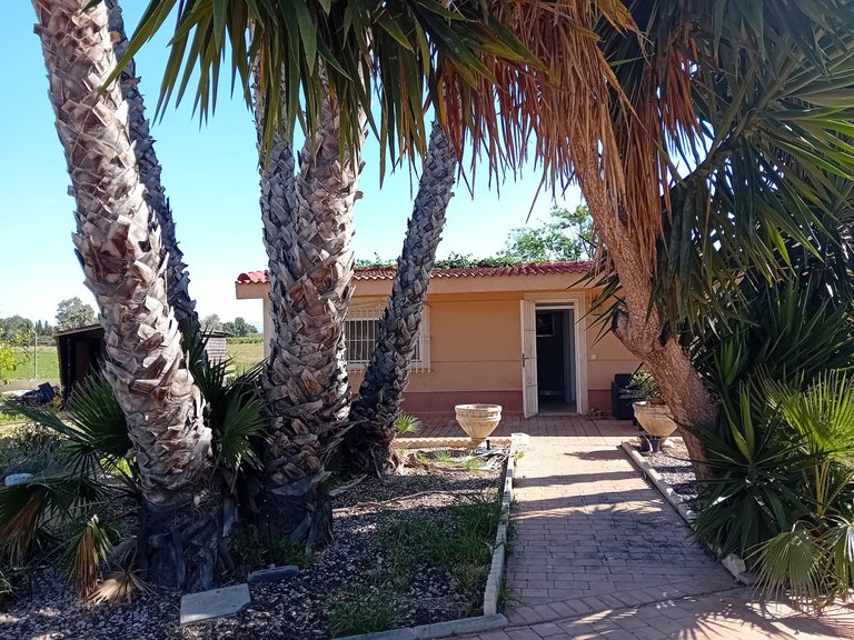 Villa for Sale in Dolores, Alicante 2