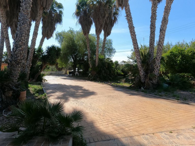 Villa for Sale in Dolores, Alicante 21