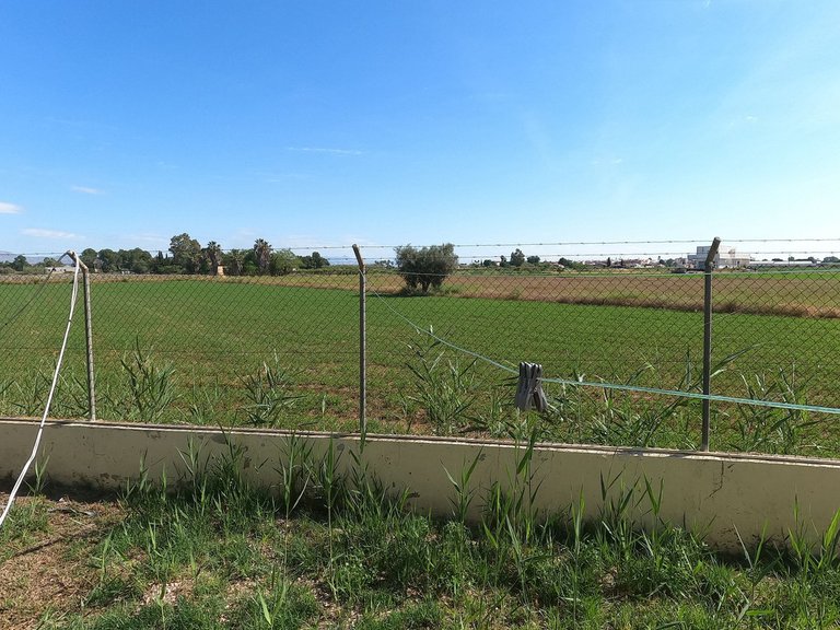 Villa for Sale in Dolores, Alicante 23