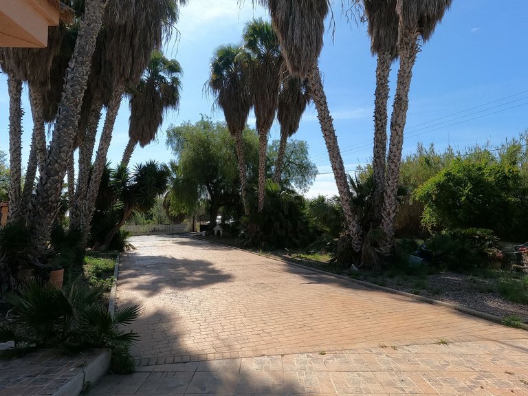 Villa for Sale in Dolores, Alicante 40