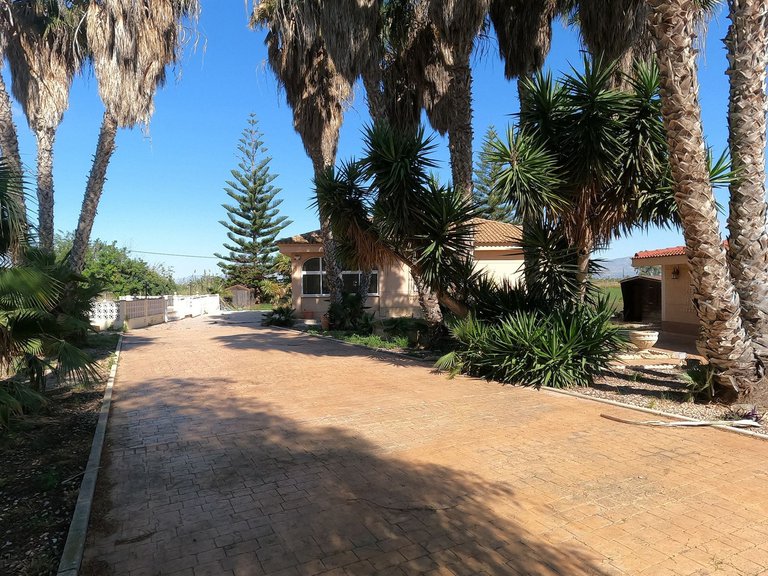 Villa for Sale in Dolores, Alicante 41
