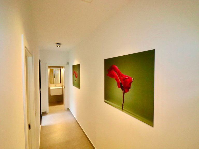 Apartment for Sale in Guardamar Del Segura, Alicante 17