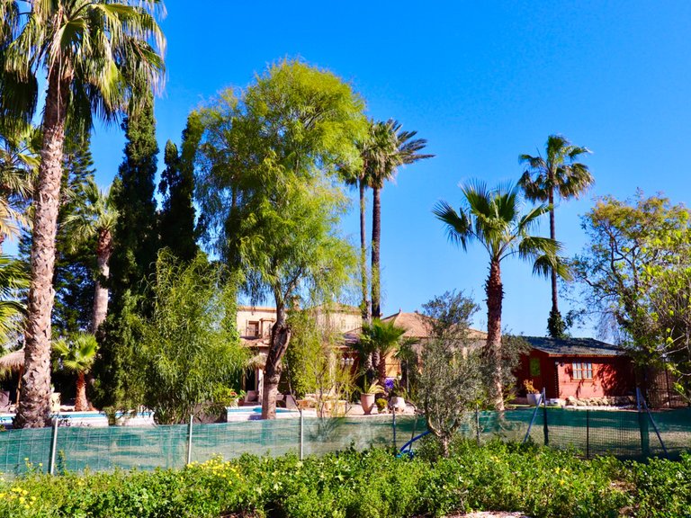 Villa for Sale in Almoradi, Alicante 2