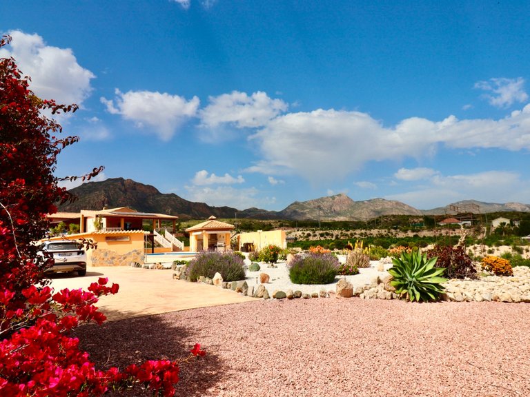 Villa for Sale in Albatera, Alicante 1