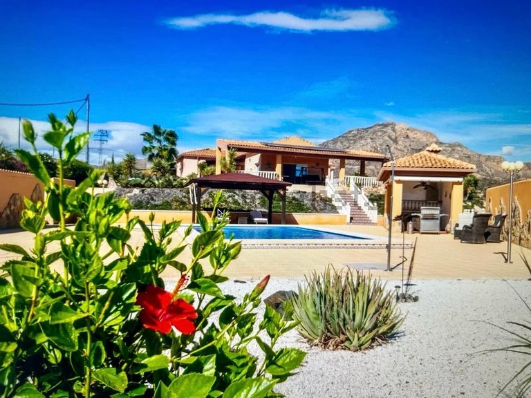 Villa for Sale in Albatera, Alicante 3