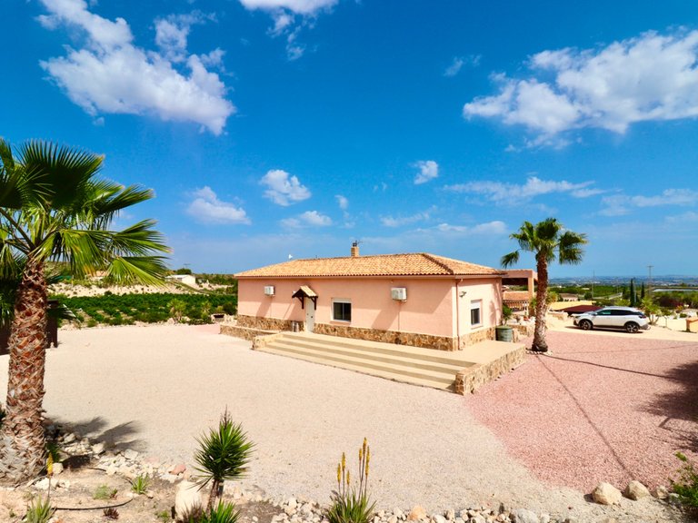 Villa for Sale in Albatera, Alicante 26