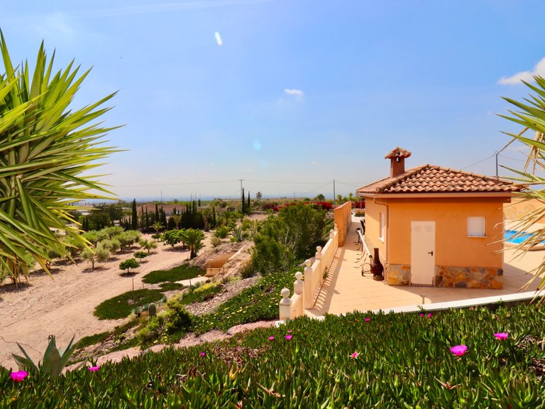 Villa for Sale in Albatera, Alicante 43