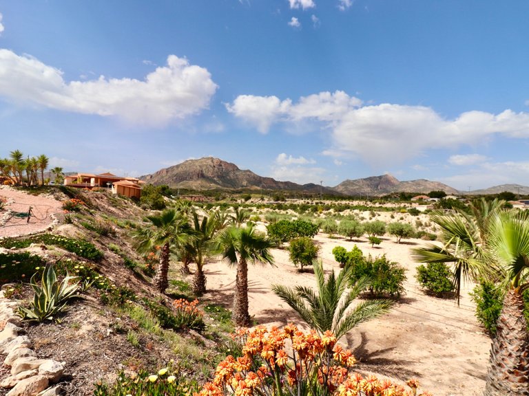 Villa for Sale in Albatera, Alicante 44