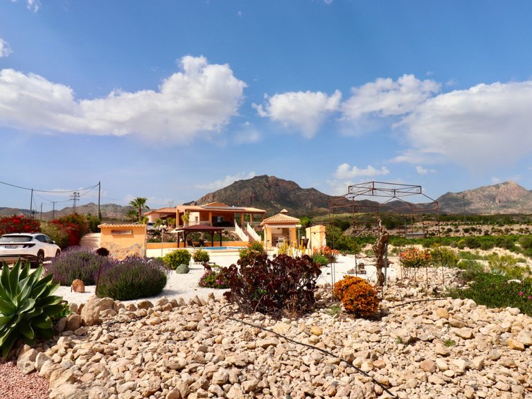 Villa for Sale in Albatera, Alicante 49