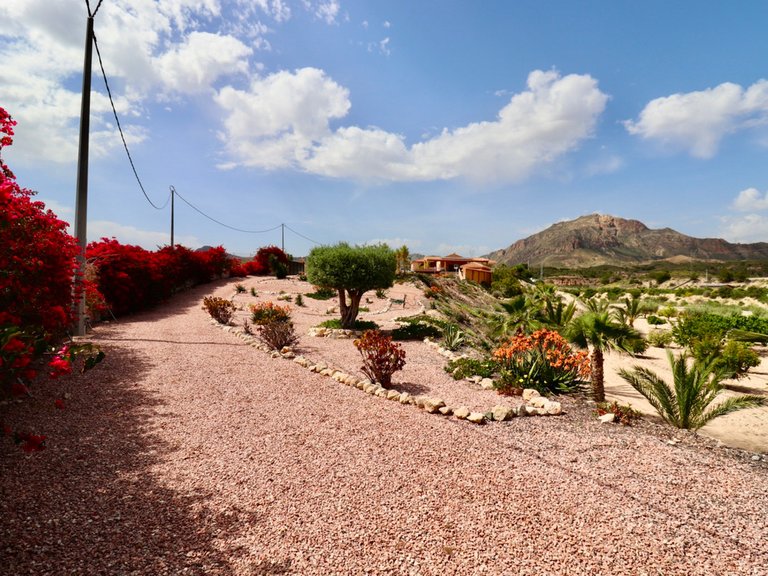 Villa for Sale in Albatera, Alicante 50