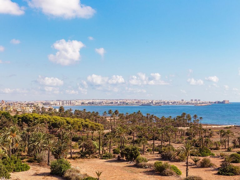 Apartment for Sale in Punta Prima, Alicante 2