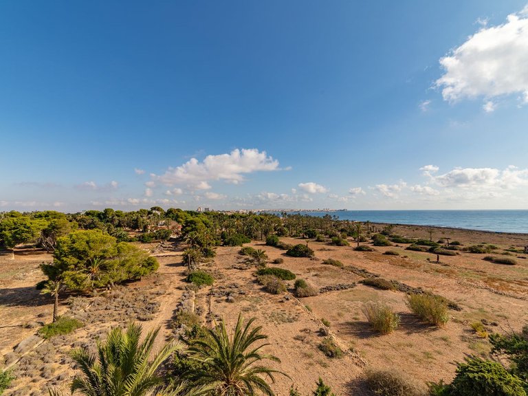 Apartment for Sale in Punta Prima, Alicante 14