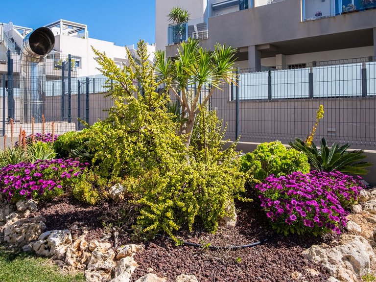 Apartment for Sale in Torrevieja, Alicante 23