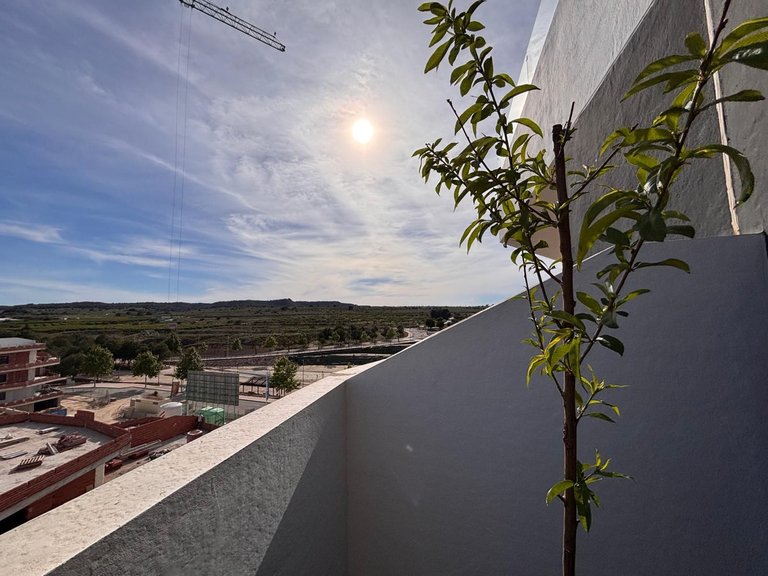 Apartment for Sale in San Miguel De Salinas, Alicante 29
