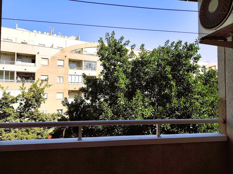 Apartment for Sale in Torrevieja, Alicante 24