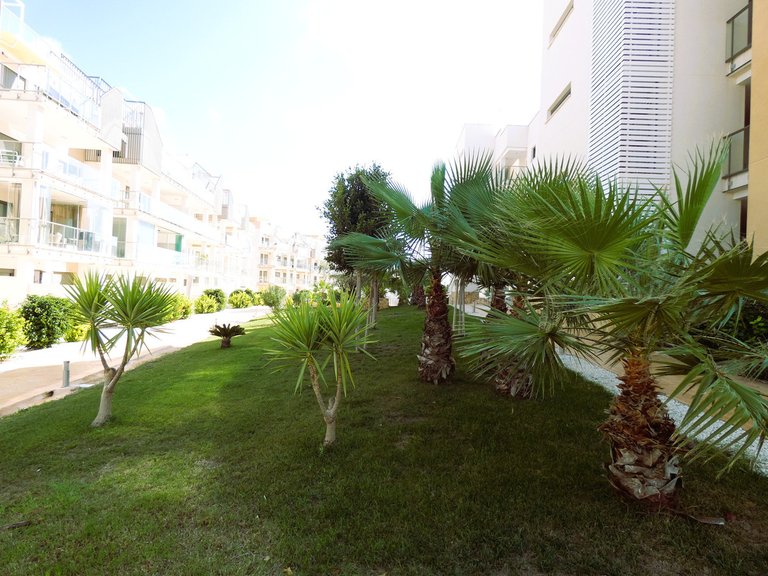 Apartment for Sale in Los Dolses, Alicante 27