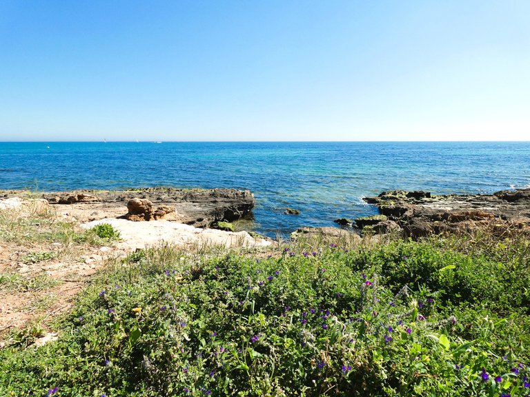 Apartment for Sale in Torrevieja, Alicante 36