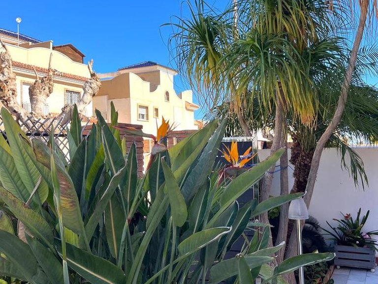 Villa for Sale in Pilar De La Horadada, Alicante 4
