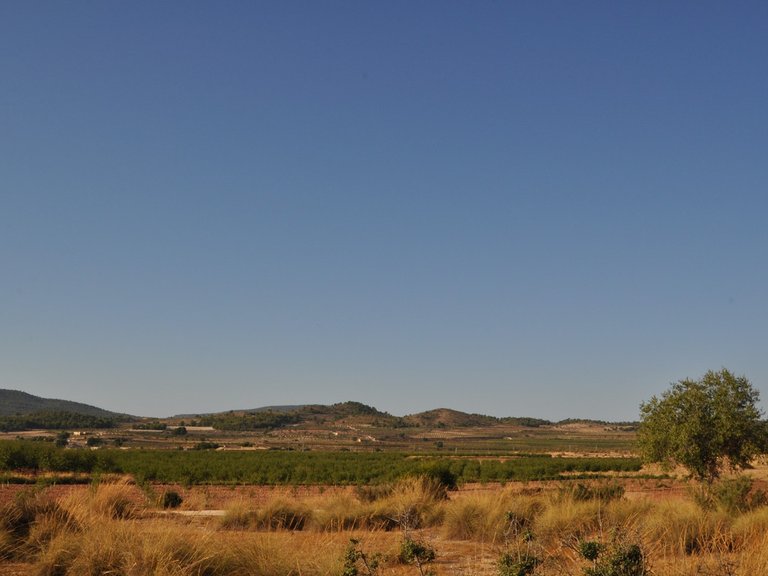 Country House for Sale in Pinoso, Alicante 18