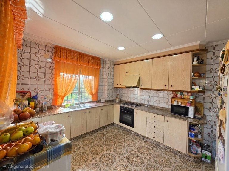 Villa for Sale in Elda, Alicante 11