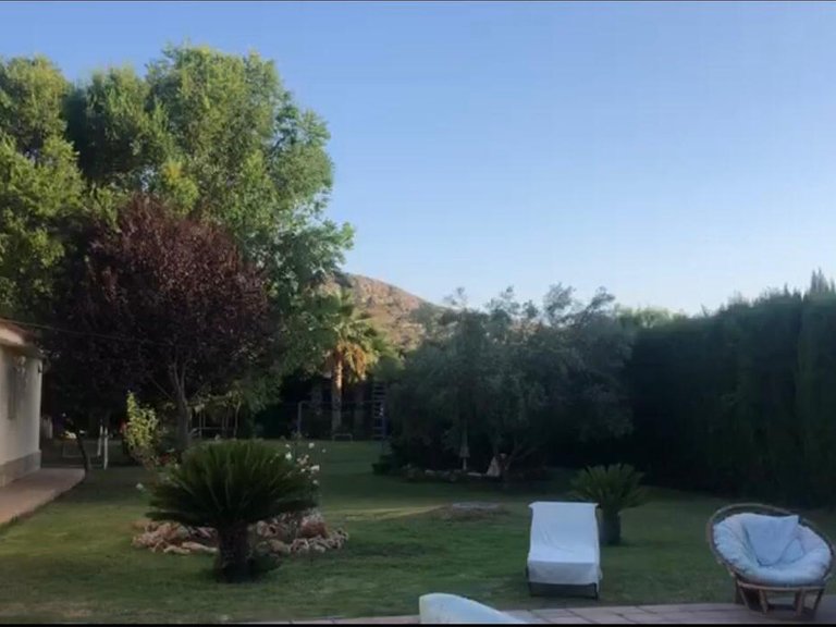 Villa for Sale in Elda, Alicante 7