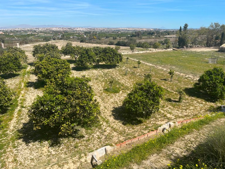 Villa for Sale in Guardamar Del Segura, Alicante 3